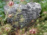 image of grave number 360135